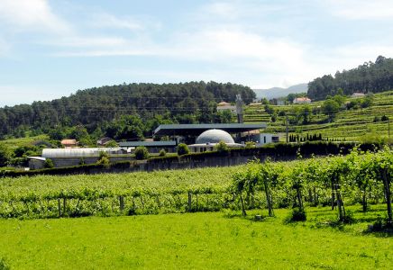 Quintas de Melgaço